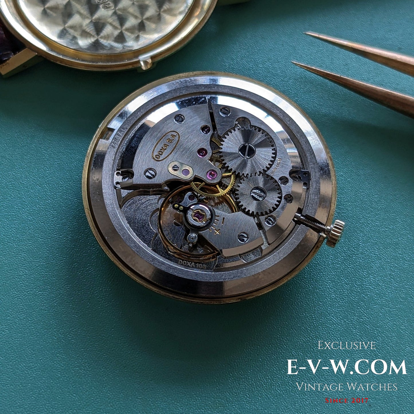 Detailed view of the DOXA Caliber 103 manual movement inside the 1950 vintage 14k gold watch, highlighting Swiss mechanical precision.
