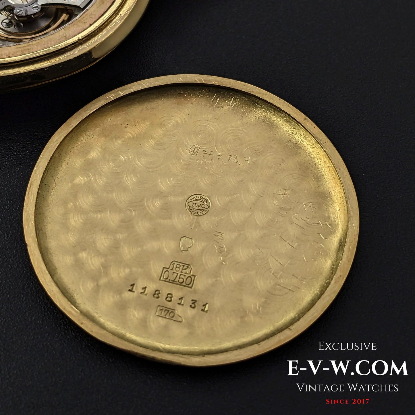 62 Years Old Vintage IWC Schaffhausen 18k Gold / crab lugs / / Cal. 89 / Vintage 1961