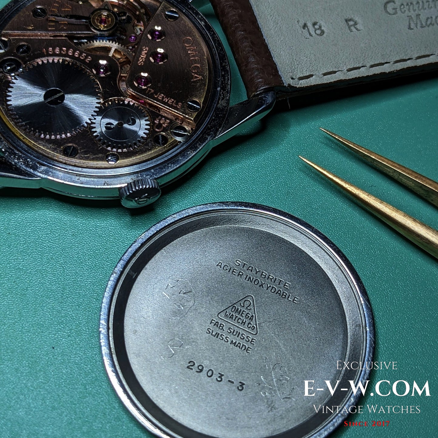 69 Years Old  Omega Genève | Ref. 2903-3 | Cal. 267 | Vintage 1956 | Serviced