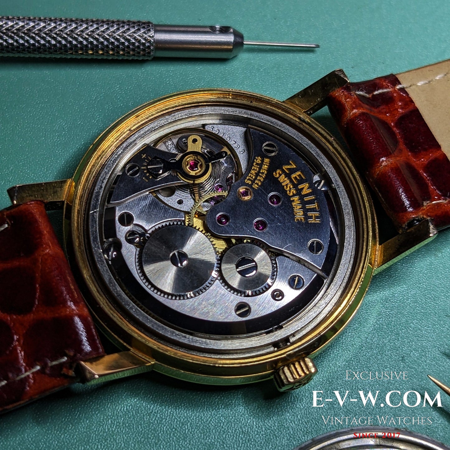 1960s — Zenith Stellina (“little star”) 220 S | Ref. 339A486 | Cal. 2531 | Serviced