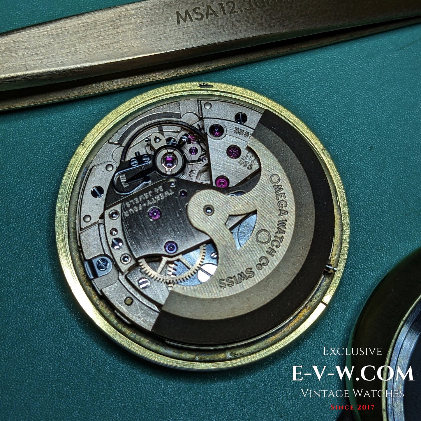 54 Years Old Omega Genève Dynamic | Ref. 166.039 | Cal. 565 | Vintage 1971 | Serviced